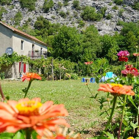 Camp Podkraj Hotell Virpazar Exteriör bild