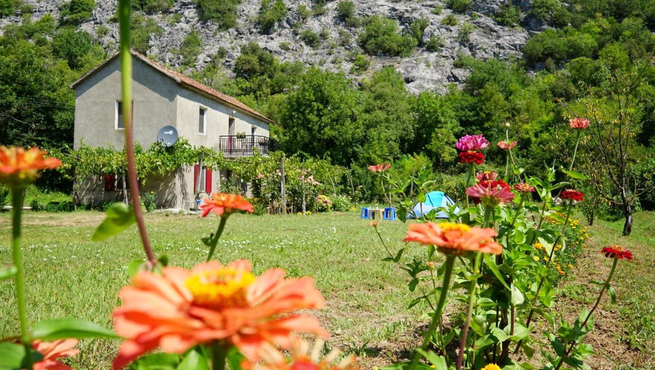 Camp Podkraj Hotell Virpazar Exteriör bild